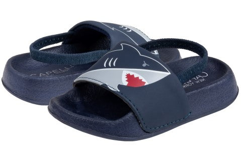Toddler Boys Shark Printed Slide with Elastic Backstrap