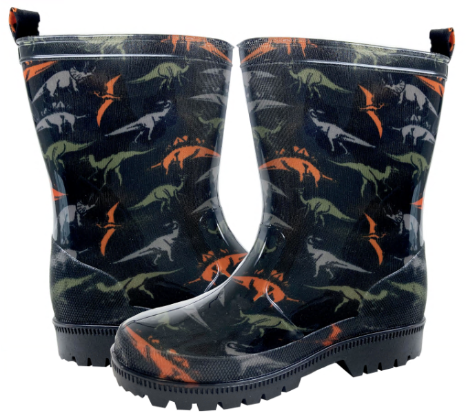 Boys Dinosaur Printed Rainboot Capelli New York
